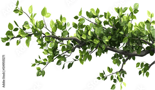 Vector trees foliage branch cut-out transparent illustrations png, woodland nature leaves, forest design, eco-friendly artwork, tree branches, green foliage, plant silhouettes