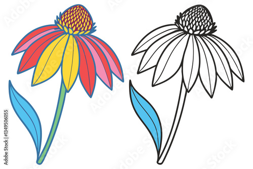 Colorful and Black and White Illustration of a Coneflower