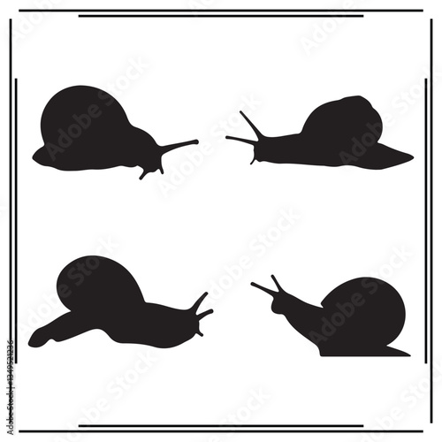 Snail silhouette, Snail illustration , Snail clipart, Snail vector , Snail icon , black Snail ,Snail illustration on white background, Snail vector illustration ,