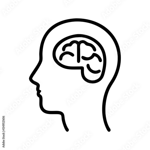 brain