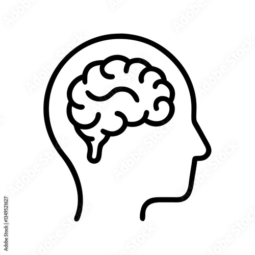 brain