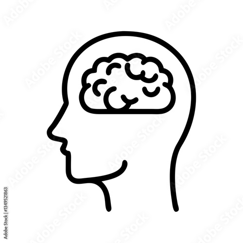 brain