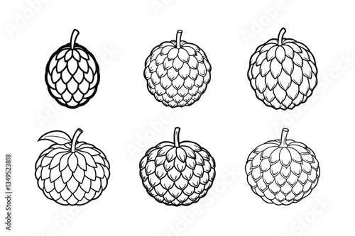 Sugar Apple – Annona squamosa line art vector illustration