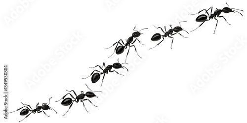 A diagonal line of black ants marching on a completely black background