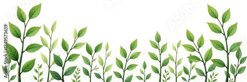 Branches of different shapes and sizes on a white background, nature, greenery