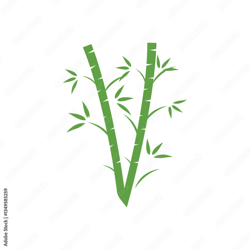 Fototapeta premium two bamboo stalks.