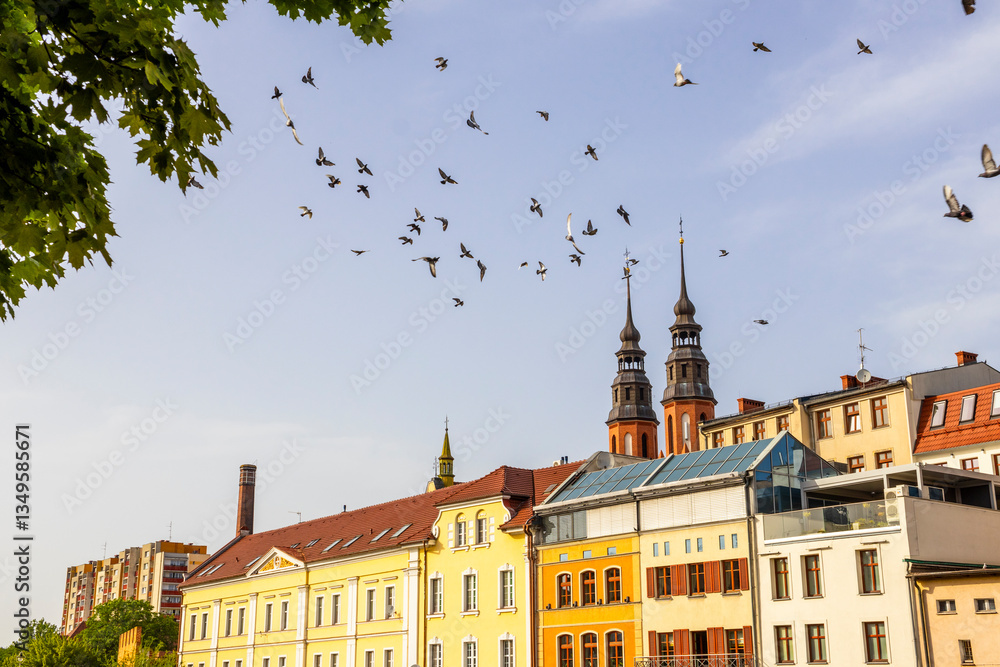 Birds flying over Beautiful Townhouses of Opole Venice, Poland