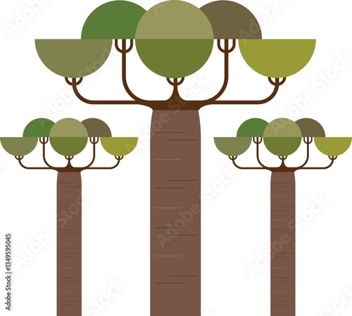 Baobab vector illustration