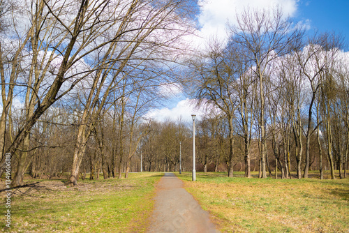 Obraz na płótnie A scenic park path surrounded by bare trees, with lush green grass and a clear blue sky above. The vibrant spring atmosphere and peaceful setting create a calming outdoor scene. w salonie