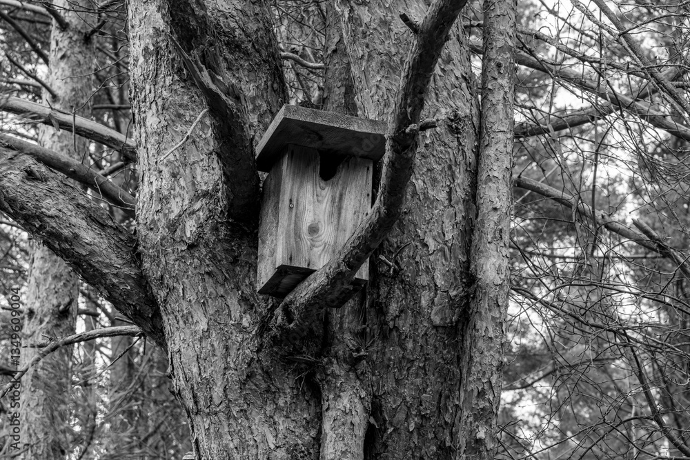 Fototapeta premium Rustic Wooden Birdhouse on a Tree in Black and White