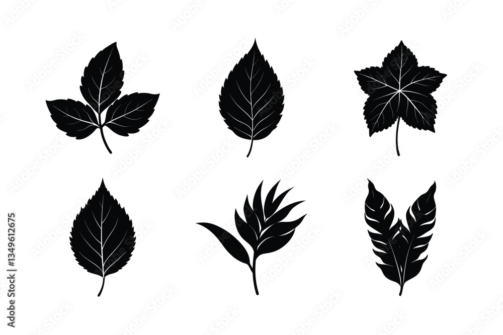 Obraz premium various types of leaves silhouette vector illustrations