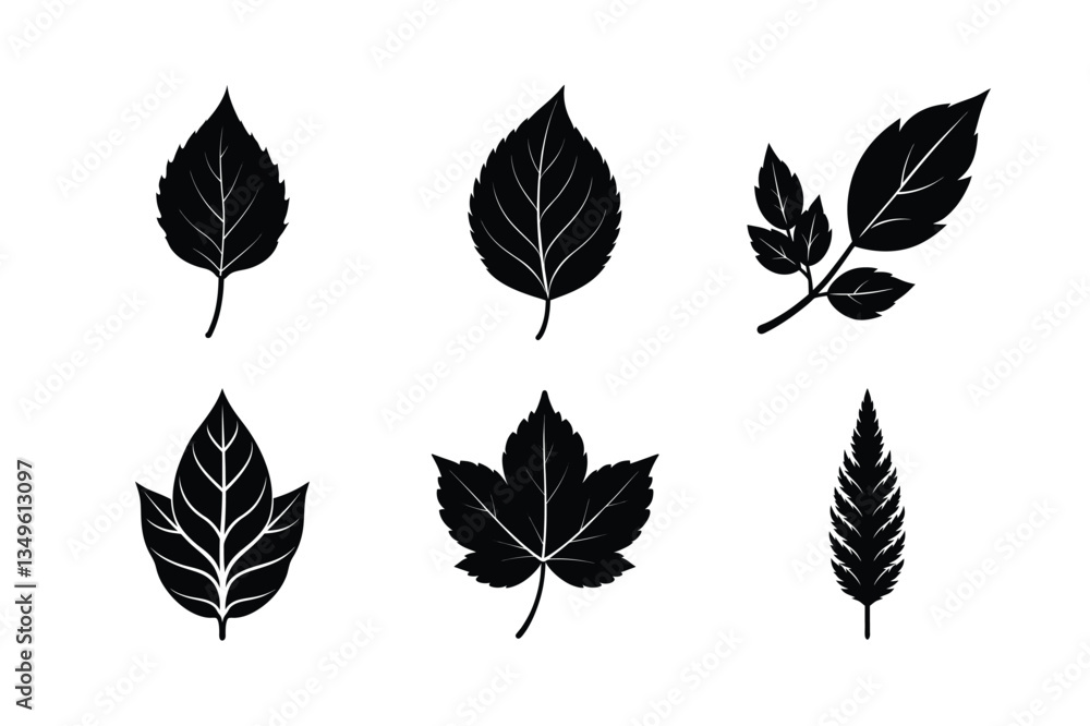 Obraz premium various types of leaves silhouette vector illustrations