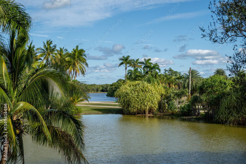 Lush tropical landscape by the serene lake surrounded by palm trees under a bright blue sky in an idyllic outdoor setting during the afternoon Lush tropical landscape by the serene lake surrounded by palm trees under a bright blue sky in an idyllic outdoor setting during the afternoon