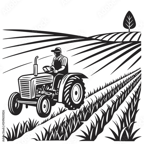 combine harvester working on the field