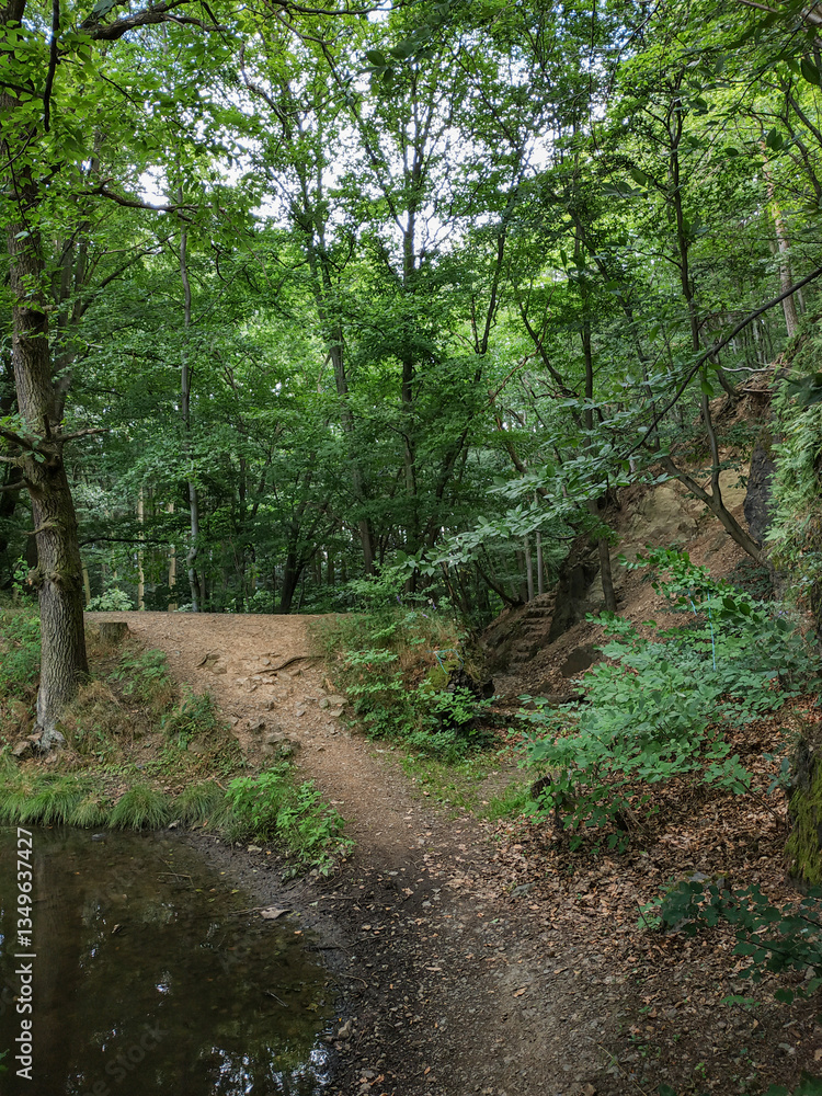 Fototapeta premium Hiking trail entering lush green forest near castle mnisek pod brdy