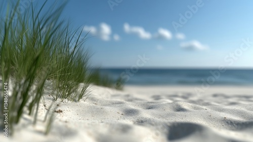 Wallpaper Mural Coastal dune scene with soft focus Torontodigital.ca