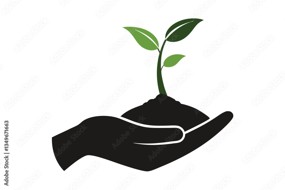 Human Hand Holding Soil with Sprout Plant with Green Leaves on White Background Human Hand Holding Soil with Sprout Plant with Green Leaves on White Background