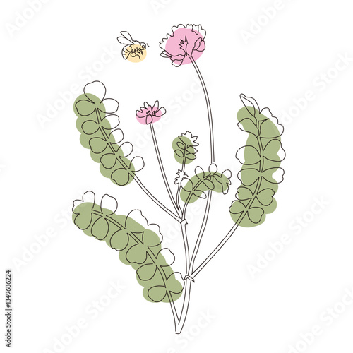 レンゲソウとミツバチ　シンプルカラーの線画イラスト