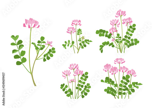 かわいく咲いたレンゲソウのバリエーション　イラストセット