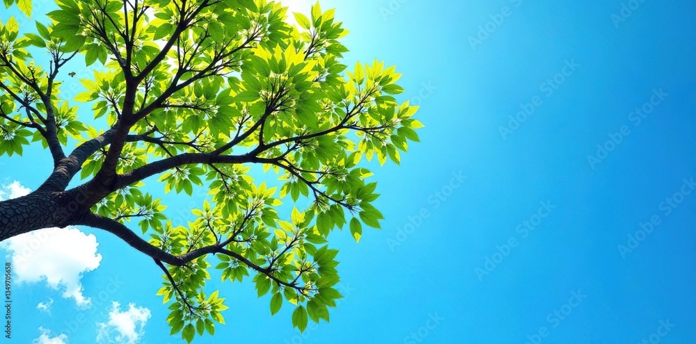 Fototapeta premium Tree branches stretch towards a clear blue sky, branches, nature, sky