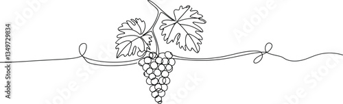 Minimalist Grapevine Line Art , Elegant Wine-Themed Border Design