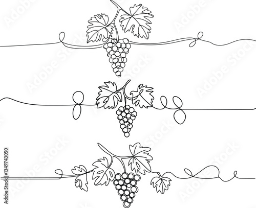 Minimalist Grapevine Line Art Set, Elegant Wine-Themed Border Design