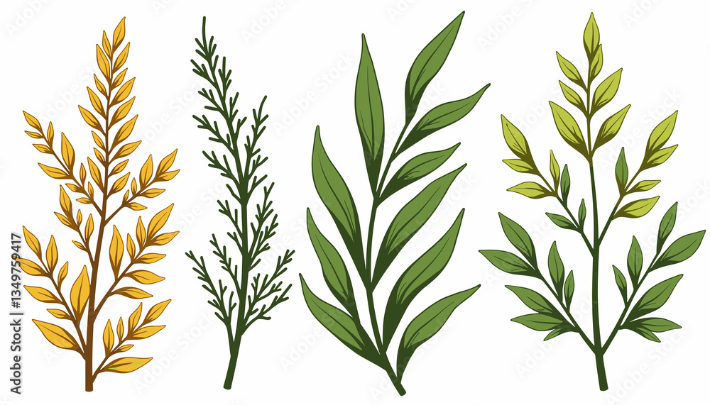 Obraz premium Herbal tea leaves collection in vibrant colors 
