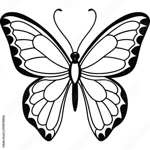 Butterfly isolated on white background