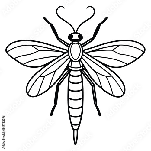 Mayfly isolated on white background