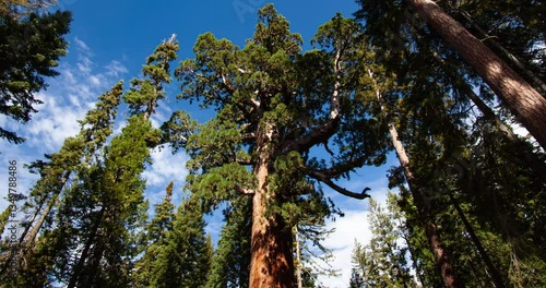 Yosemite National Park, California, USA