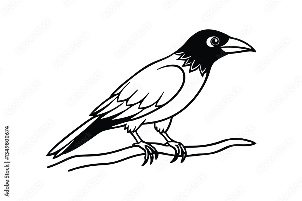 Obraz premium Line art vector illustration of a crow sitting on a branch.eps