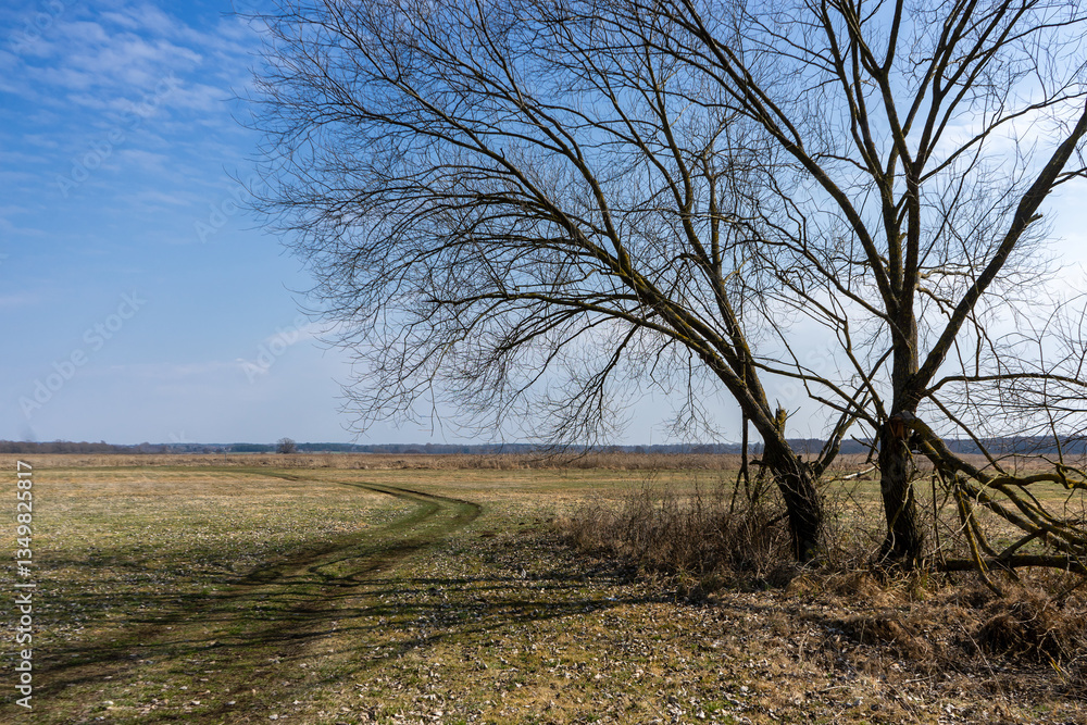 Wiosna w Narwiańskim Parku Narodowym, Podlasie, Polska