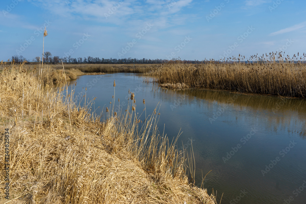 Wiosna w Narwiańskim Parku Narodowym, Podlasie, Polska