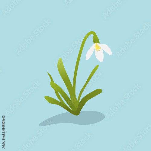 snowdrop flowers on blue background