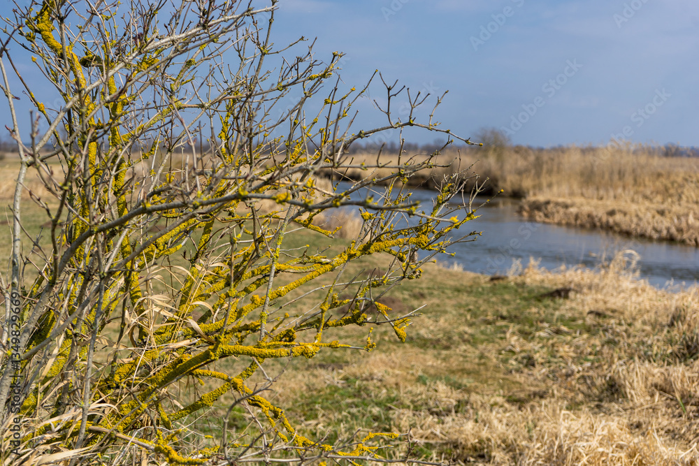 Wiosna w Narwiańskim Parku Narodowym, Podlasie, Polska