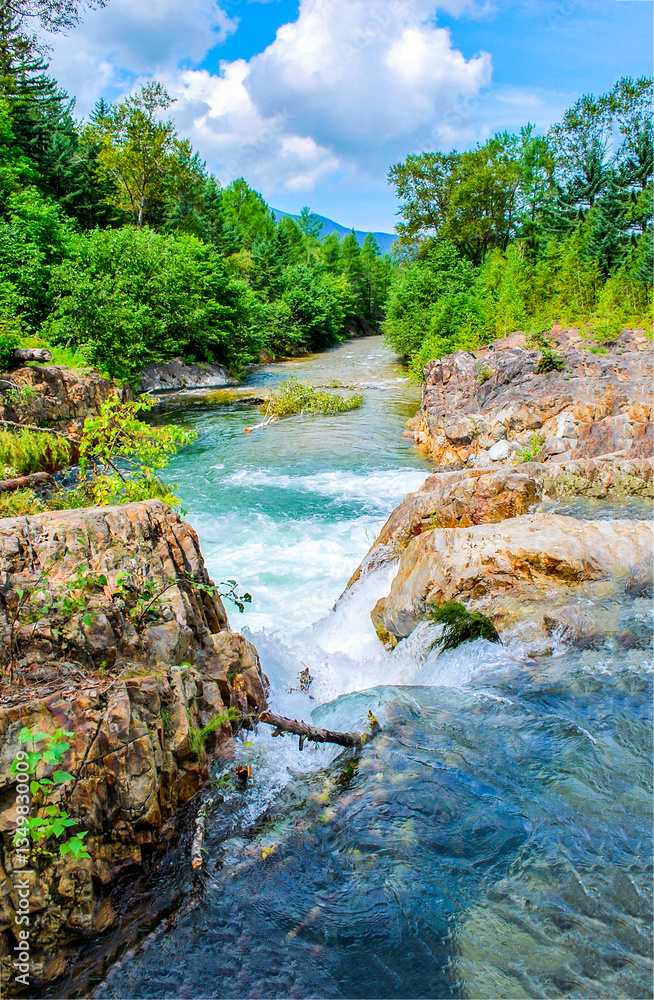 mountain river in the forest