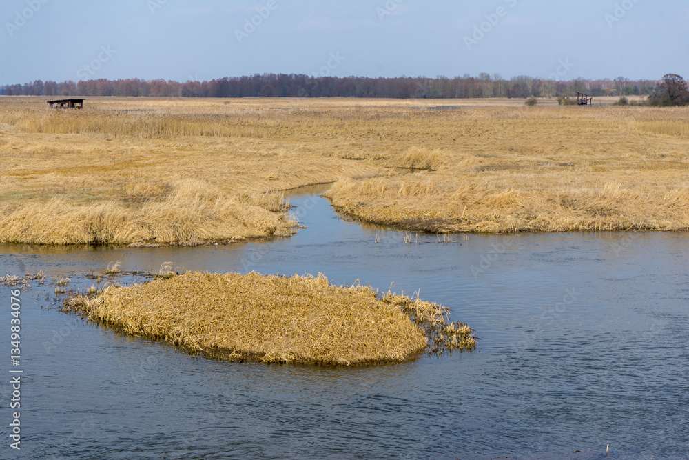 Wiosna w Narwiańskim Parku Narodowym, Podlasie, Polska