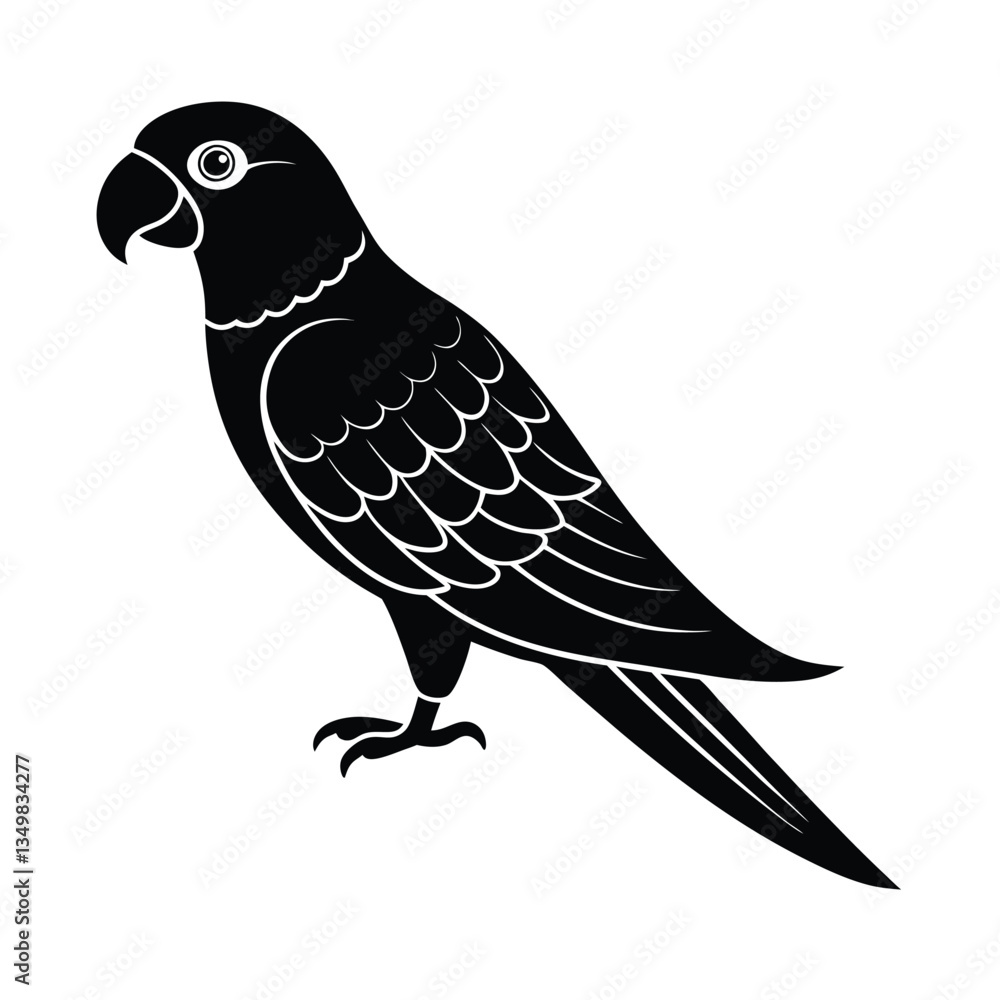 Fototapeta premium parrot vector illustration