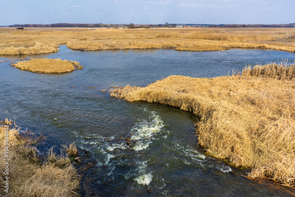 Wiosna w Narwiańskim Parku Narodowym, Podlasie, Polska