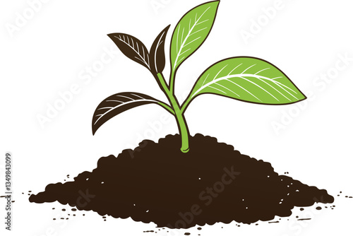 49 Young plant seedling, vibrant green leaves, rich dark soil, mound of earth, white background, macro photography, high detail, crisp focus, organic growth, new life, gardening, botany study, isolate