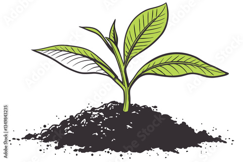 49 Young plant seedling, vibrant green leaves, rich dark soil, mound of earth, white background, macro photography, high detail, crisp focus, organic growth, new life, gardening, botany study, isolate