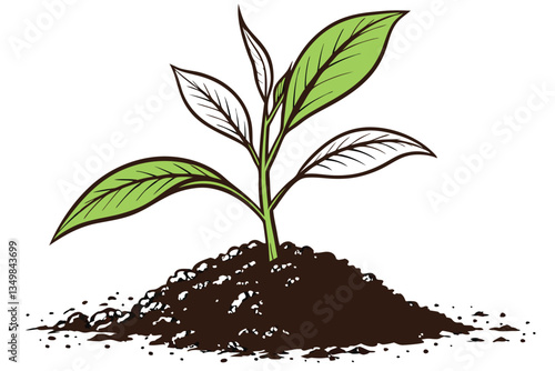49 Young plant seedling, vibrant green leaves, rich dark soil, mound of earth, white background, macro photography, high detail, crisp focus, organic growth, new life, gardening, botany study, isolate