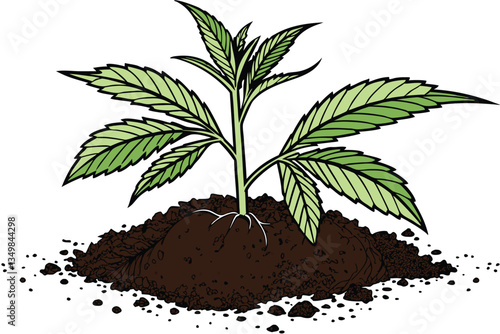 49 Young plant seedling, vibrant green leaves, rich dark soil, mound of earth, white background, macro photography, high detail, crisp focus, organic growth, new life, gardening, botany study, isolate