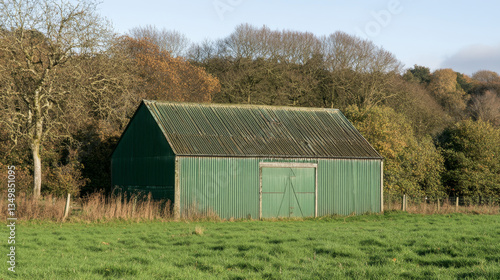 Wallpaper Mural A rustic green barn stands in the middle of a vibrant green field, flanked by autumn trees. The calm afternoon light casts a warm glow, highlighting the peaceful rural landscape Torontodigital.ca