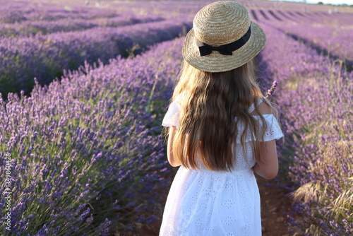 Fototapeta Naklejka Na Ścianę i Meble -  walking through a lavender field, girl in a hat