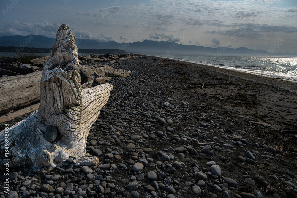 Dungeness National Wildlife Refuge in Washington State