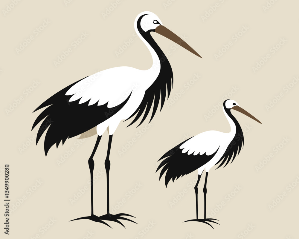 Elegant White Stork Illustration. Bird Silhouette Vector Elegant White Stork Illustration. Bird Silhouette Vector