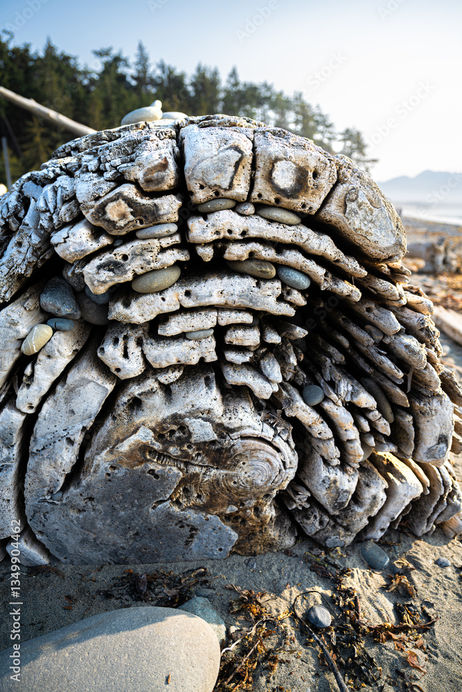 Dungeness National Wildlife Refuge in Washington State