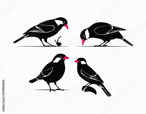Abstract Red Billed Quelea Silhouette Collection Vector Template
