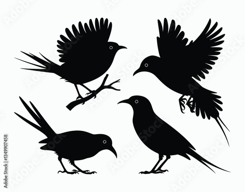 Minimal Red Billed Quelea Silhouette Set Vector Template